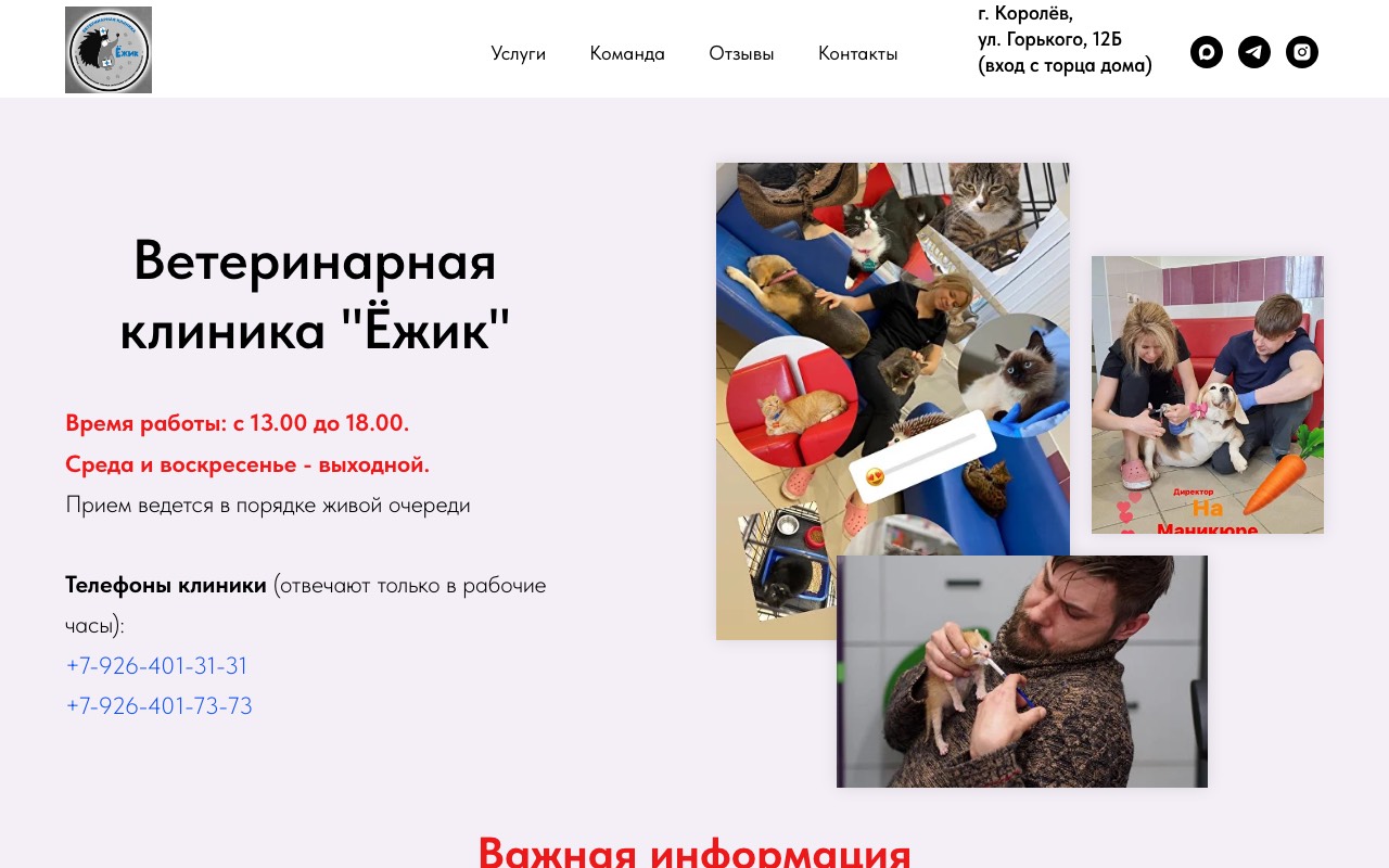 Старый сайт: Ветеринарная клиника