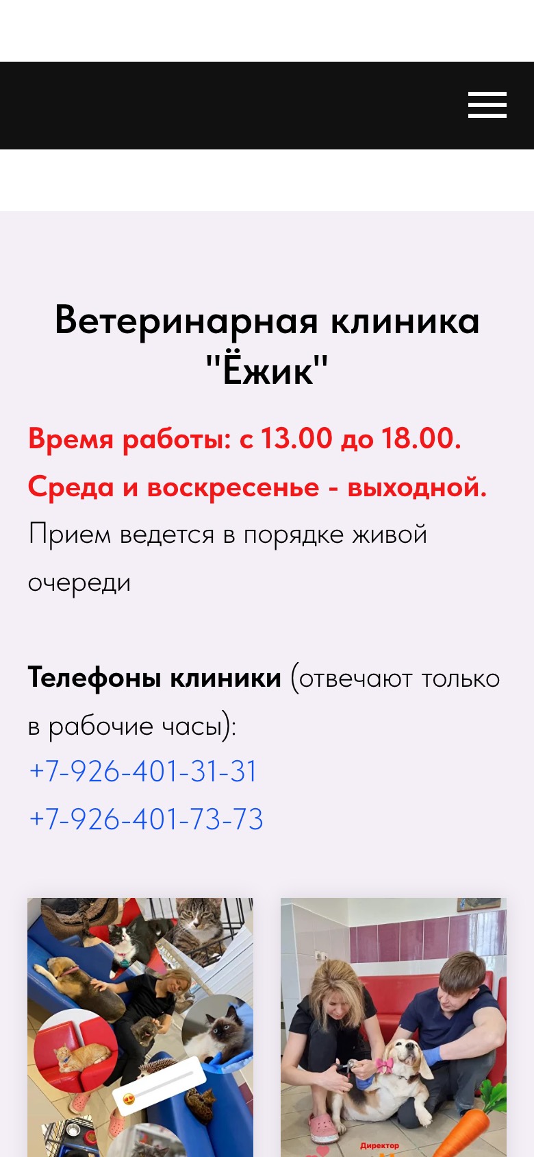 Старый сайт на телефоне: Ветеринарная клиника